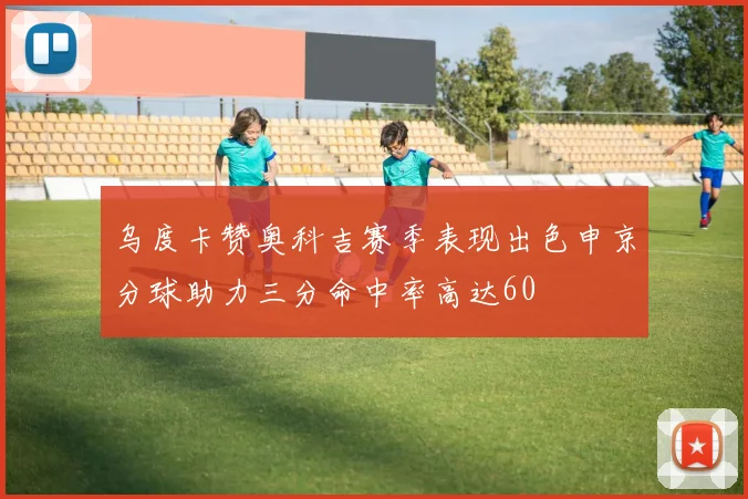 乌度卡赞奥科吉赛季表现出色申京分球助力三分命中率高达60