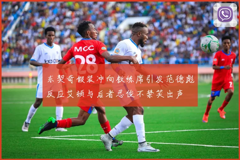 东契奇假装冲向教练席引发范德彪反应艾顿与后者忍俊不禁笑出声
